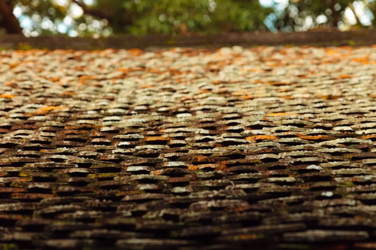 Aging shingle roof with moss growth and granule loss in Greenwood, IN